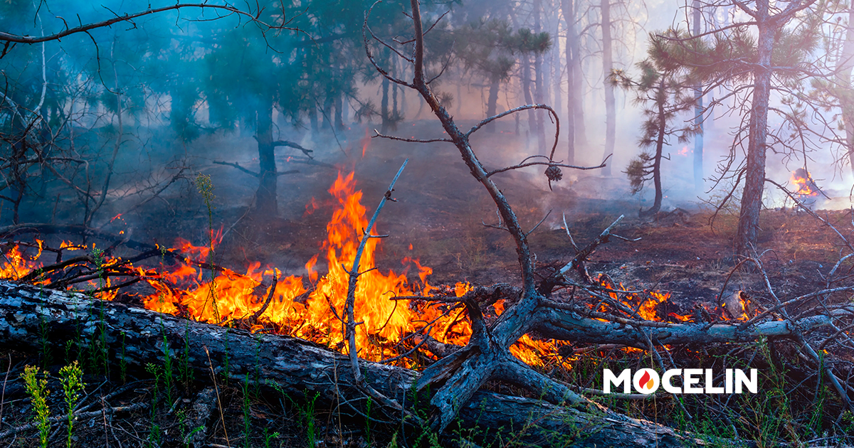 Triângulo de fogo: saiba o que é e qual a diferença entre fogo e incêndio